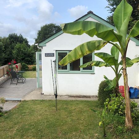 Sycamore Bungalow Perranwell Kültér fotó